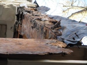 Moisture Intrusion Investigations 